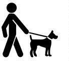 leashed-dog