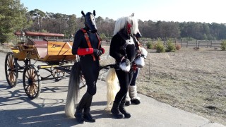 Gromit- erste Ausfahrt 2019 Februar