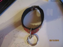 Dieses Halsband bekam von mir einen Ring.