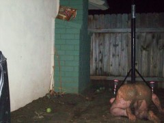 0004ae02-8b25-2aa4-3548-430d66d30f0e_720